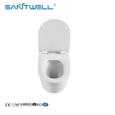Hot Selling SWA625 Luxury Sanitary Ware Product Washdown Rimless Flushing Wall Hung Toilets WC