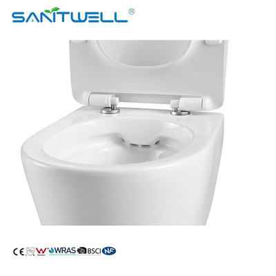 Hot Selling SWA625 Luxury Sanitary Ware Product Washdown Rimless Flushing Wall Hung Toilets WC