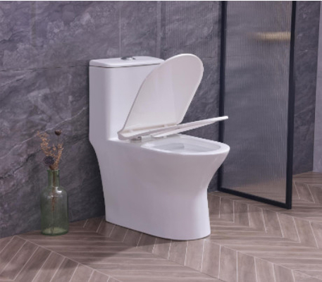 Popular Economic Toilets SWS9218 Siphonic One piece Toilets S trap with PP Soft Closed Seat Cover