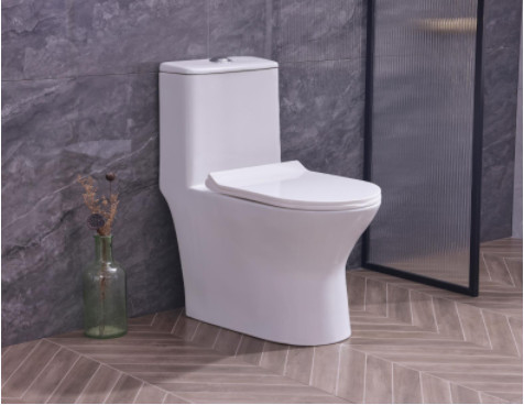 Popular Economic Toilets SWS9218 Siphonic One piece Toilets S trap with PP Soft Closed Seat Cover