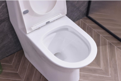 Popular Economic Toilets SWS9218 Siphonic One piece Toilets S trap with PP Soft Closed Seat Cover
