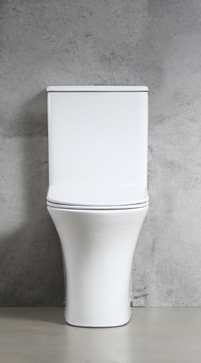 Chaozhou Popular Ceramic Two PIece Toilets Rimless Flushing White Color WC
