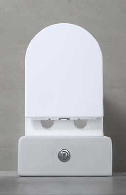 Chaozhou Popular Ceramic Two PIece Toilets Rimless Flushing White Color WC