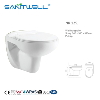 Ceramic Wall Hung WC Rimless Toilet with Soft Closing Seat Cover