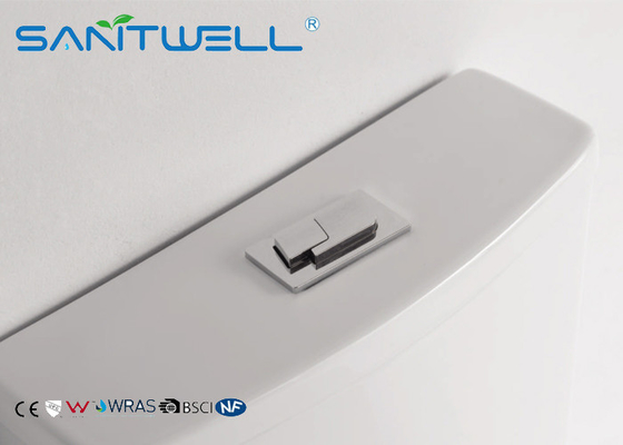 Washdown Close Coupled Toilet  Floor Standing Combination With Double Flushing