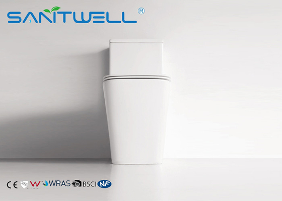 Rimless Toilet  Ceramic Back to Wall Wash Down P Trap Bathroom Bowl With Soft Close Seat Close Coupled Toilets