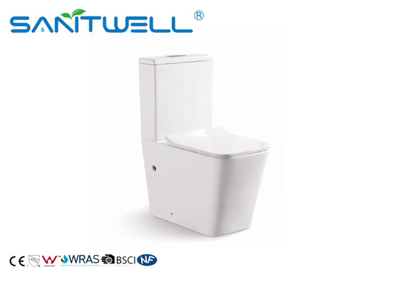Rimless Toilet  Ceramic Back to Wall Wash Down P Trap Bathroom Bowl With Soft Close Seat Close Coupled Toilets