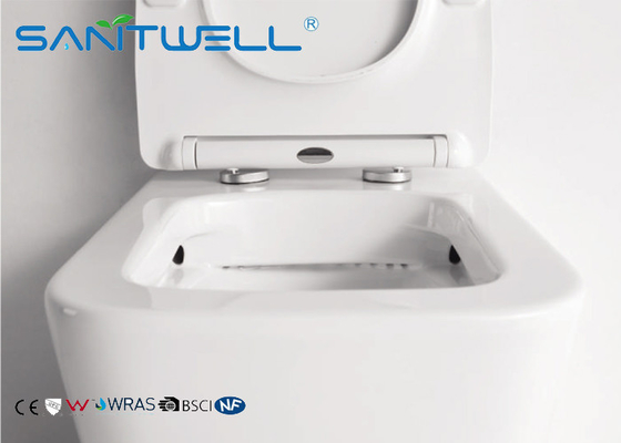 Rimless Free Standing Toilet  With Hidden Water Tank , floor standing wc