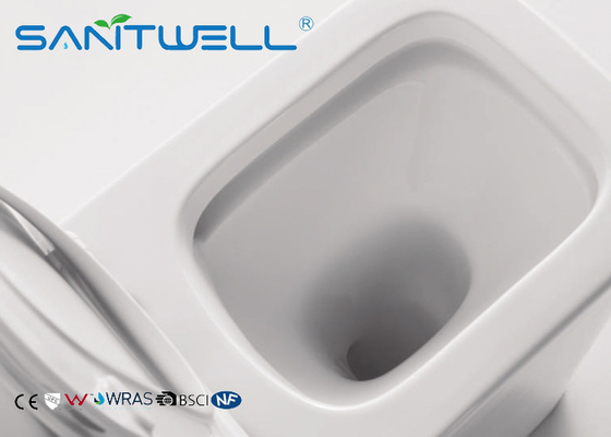 Rimless Free Standing Toilet  With Hidden Water Tank , floor standing wc