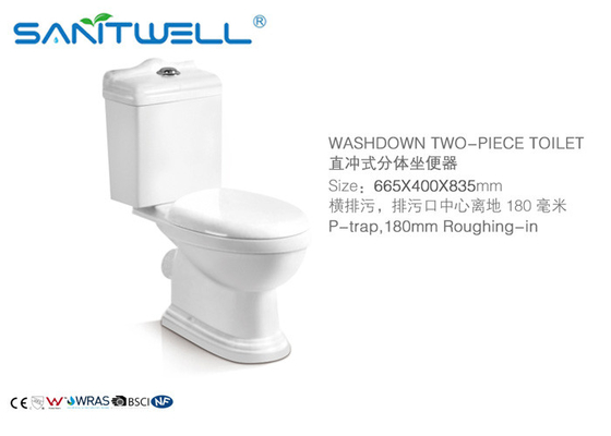Dual-Flush Modern Ceramic Toilet Two Pieces WC in Bathroom White