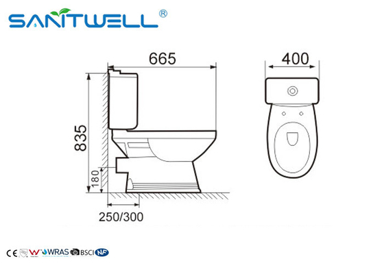 Dual-Flush Modern Ceramic Toilet Two Pieces WC in Bathroom White