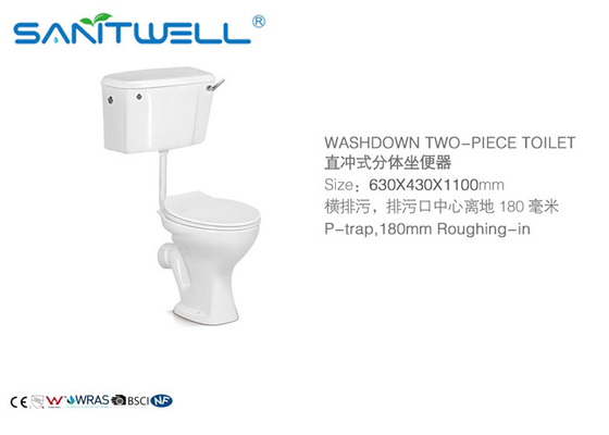 Washdown Two Piece Toilet Colorful Ceramic Sanitary Ware Wall Mounted Type