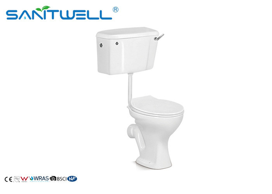 Washdown Two Piece Toilet Colorful Ceramic Sanitary Ware Wall Mounted Type