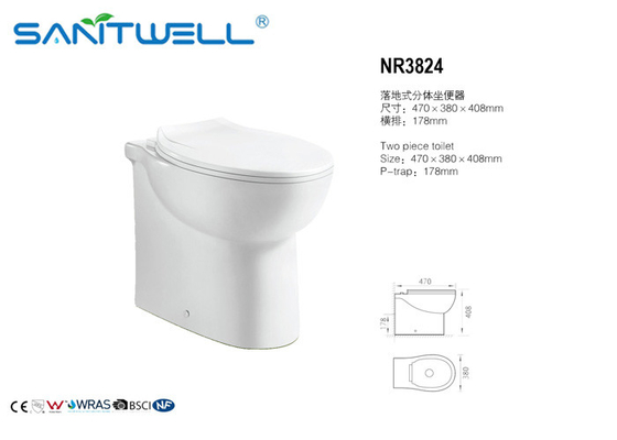 Thin Seat Cover UF Rimless Wall Hung Wc Toilet , Eastern Europe Toilet