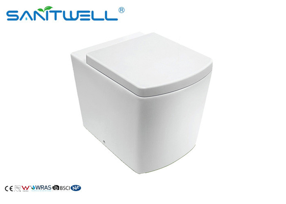 S trap 2 Piece Free Standing Toilet Ceramic WC For Living Room