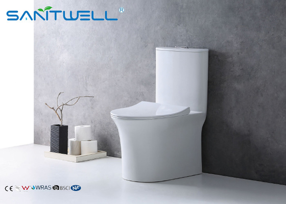 White Ceramic Wc Single Piece Toilet 655*395*770 mm Size Nano glazing OEM