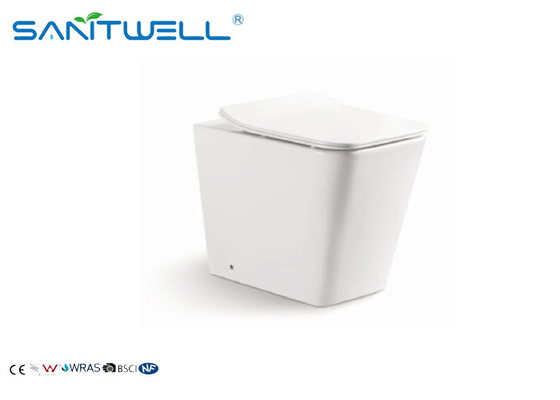 High end European Standard Wall Faced Toilet Ceramic Two Piece 545*360*410mm