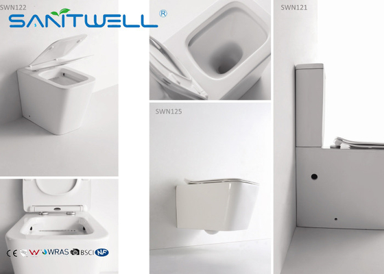 High end European Standard Wall Faced Toilet Ceramic Two Piece 545*360*410mm