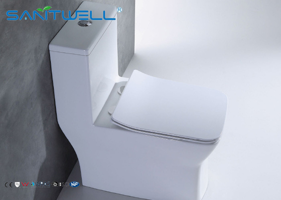 Public sanitary ware washdown Ceramic Toilet one piece WC OEM
