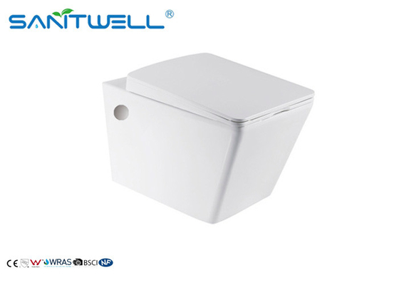 Ceramics Wall Mounted WC , p trap washdown wc 540*365*335mm Size