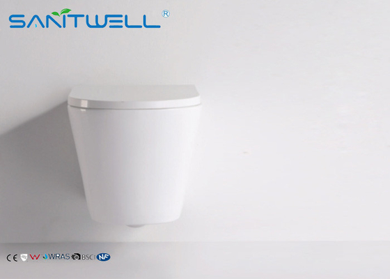 Euro wall mounted ceramic eastern style toilet washroom Two Piece Structure