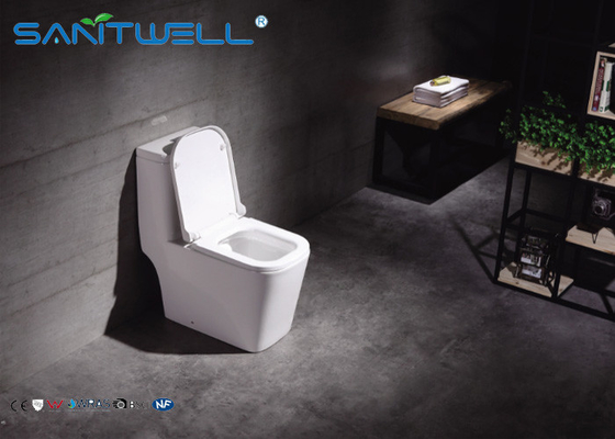 sanitary ware wc single washdown one piece toilet 690*365*790 mm Size