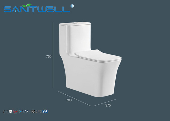 Public Single Piece Toilet eastsun water saving automatic Tpye
