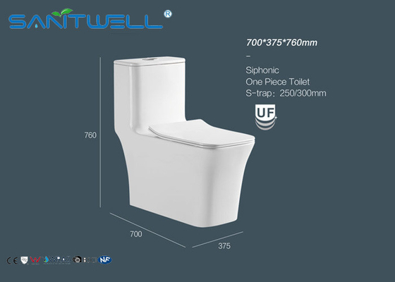 Public Single Piece Toilet eastsun water saving automatic Tpye