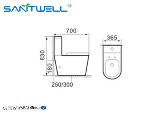 Bathroom Washdown Two piece toilet ISO9001 2000 Certification