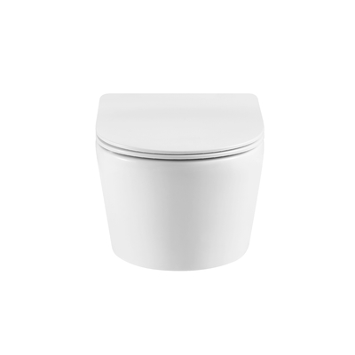 Luxury Sanitary Ware Hot Selling Models Washdown Rimless Flushing Wall Hung Toilets WC