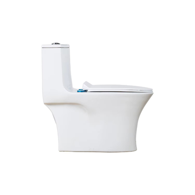 Cheap Models Wholesaler Supplier Floor Standing Toilets One Piece WC S Trap 300mm for South of American