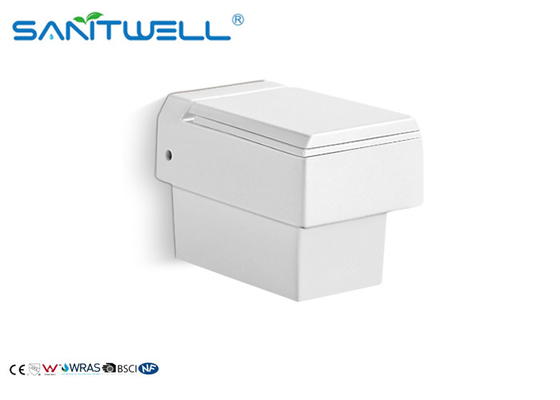CE Standard Wall Mounted WC SWC525 540*350*415 Mm With 5 Years Guarantee