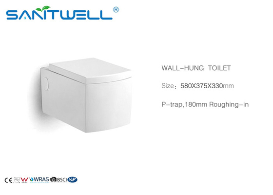 SWC725 Ceramic Wall Mounted WC Above Counter Mounting With Additional Components