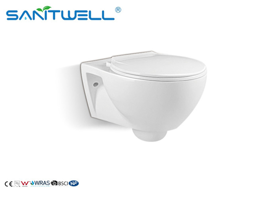 White Common Wall Mounted WC With Cover Concealed Cistern Washdown SWC925