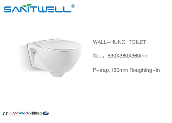 White Common Wall Mounted WC With Cover Concealed Cistern Washdown SWC925