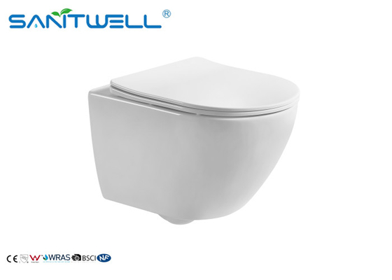 Modern Dual Flush Wall Mounted WC Water Saving Sewage Smooth 485*355*370mm