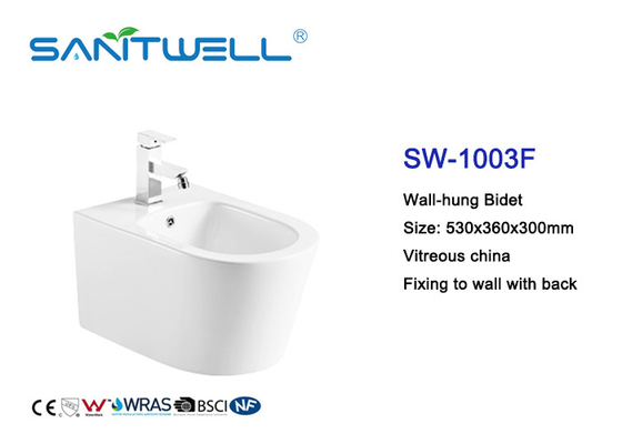 Self Cleaning Comfortable Wall Hung Bidet Concealed Tank Ceramic Material