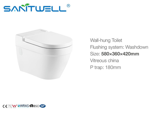 Comfortable Wall Mounted WC One Piece With Wash Down Flushing System