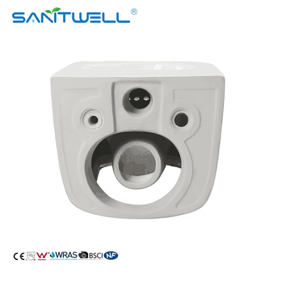Popular Models Gravity Flushing One Piece Ceramic Rimless Wall Mounted WC