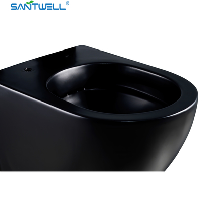 SWJ0325MB Bathroom wc Sanitary Ware white toilet bowl rimless flush for European Market