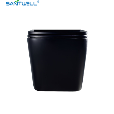 Wall Hung Toilets Sanitwell SWJ0525MB Bathroom WC white toilet bowl rimless flush