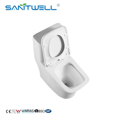 2021 new design sanitary ware small mini ceramic wc toilet for narrow bathroom SWM8621