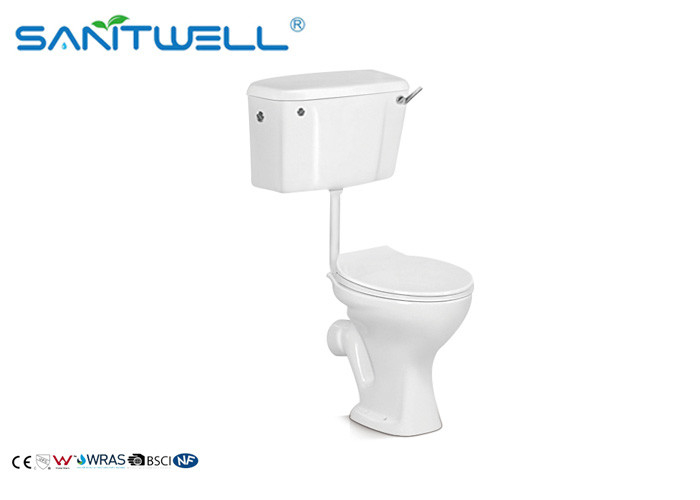 Washdown Two Piece Toilet Colorful Ceramic Sanitary Ware Wall Mounted Type
