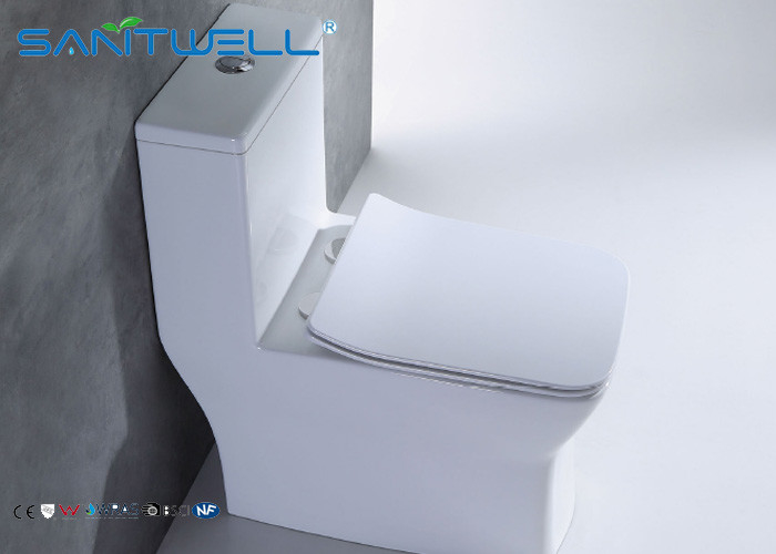 Public sanitary ware washdown Ceramic Toilet one piece WC OEM