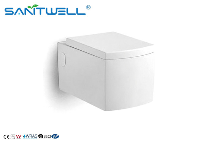 SWC725 Ceramic Wall Mounted WC Above Counter Mounting With Additional Components